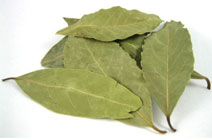Bay leaf (laurel)